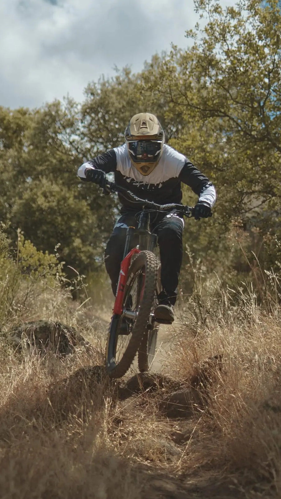 A downhill rider on a bike equipped with S10 hubs.